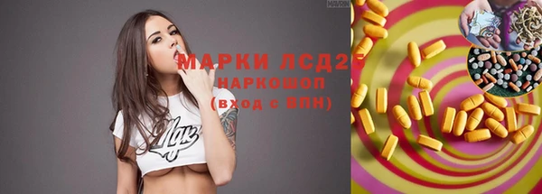 гидропоника Белоозёрский
