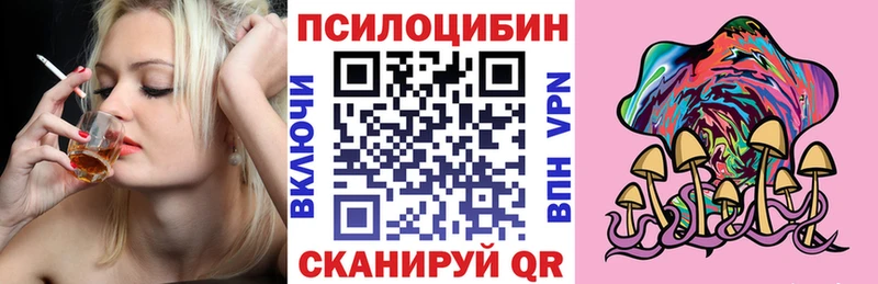 Галлюциногенные грибы Psilocybine cubensis  Кодинск 